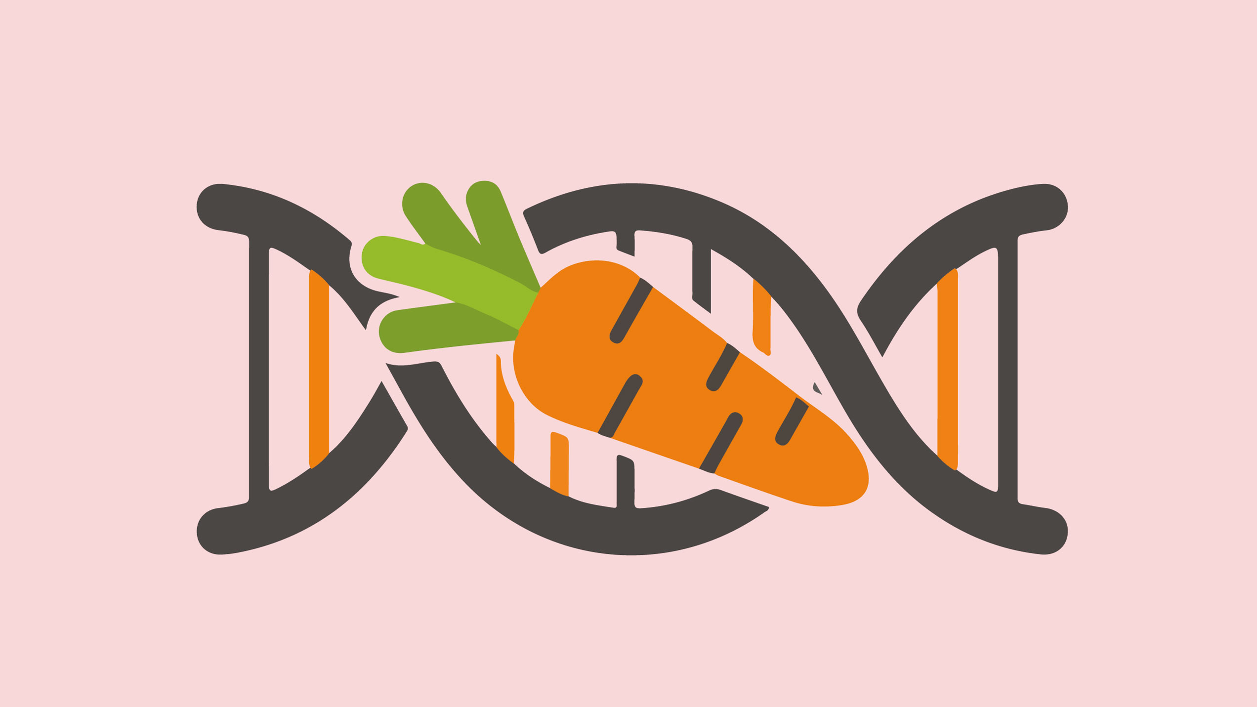 Illustration av en morot och en DNA-molekyl.