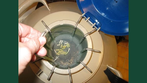 Foto av en behållare med fryst hingstsperma.