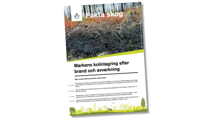 Ett artikelomslag.