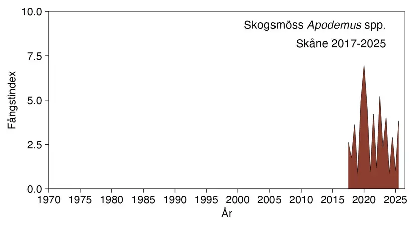 Diagram visar antalet fångade skogsmöss.