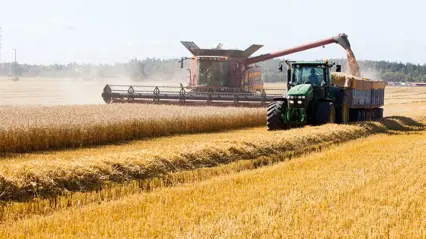 Combine harvester in crop field