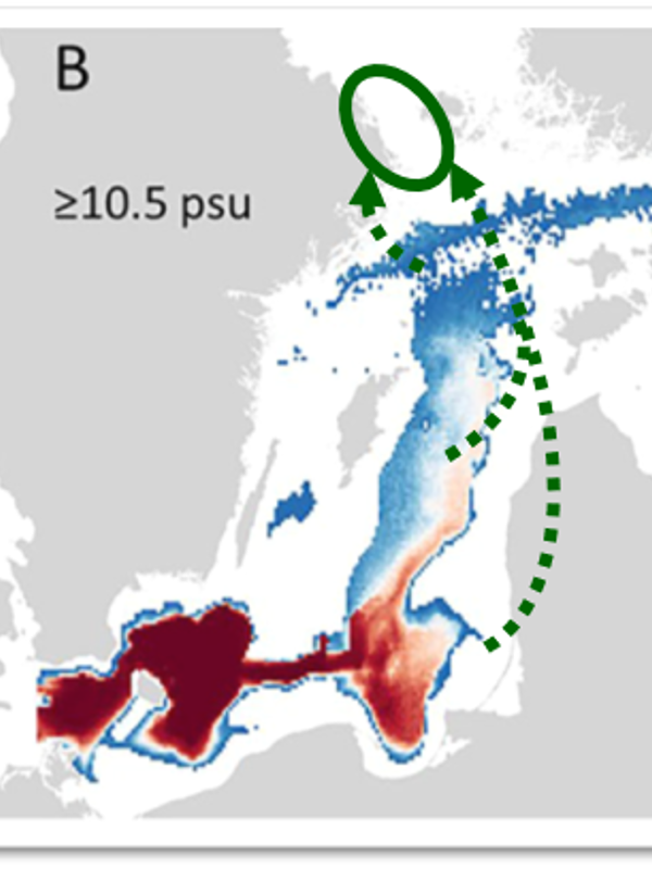 Karta som visar möjliga lekområden för torsken i Ålands hav
