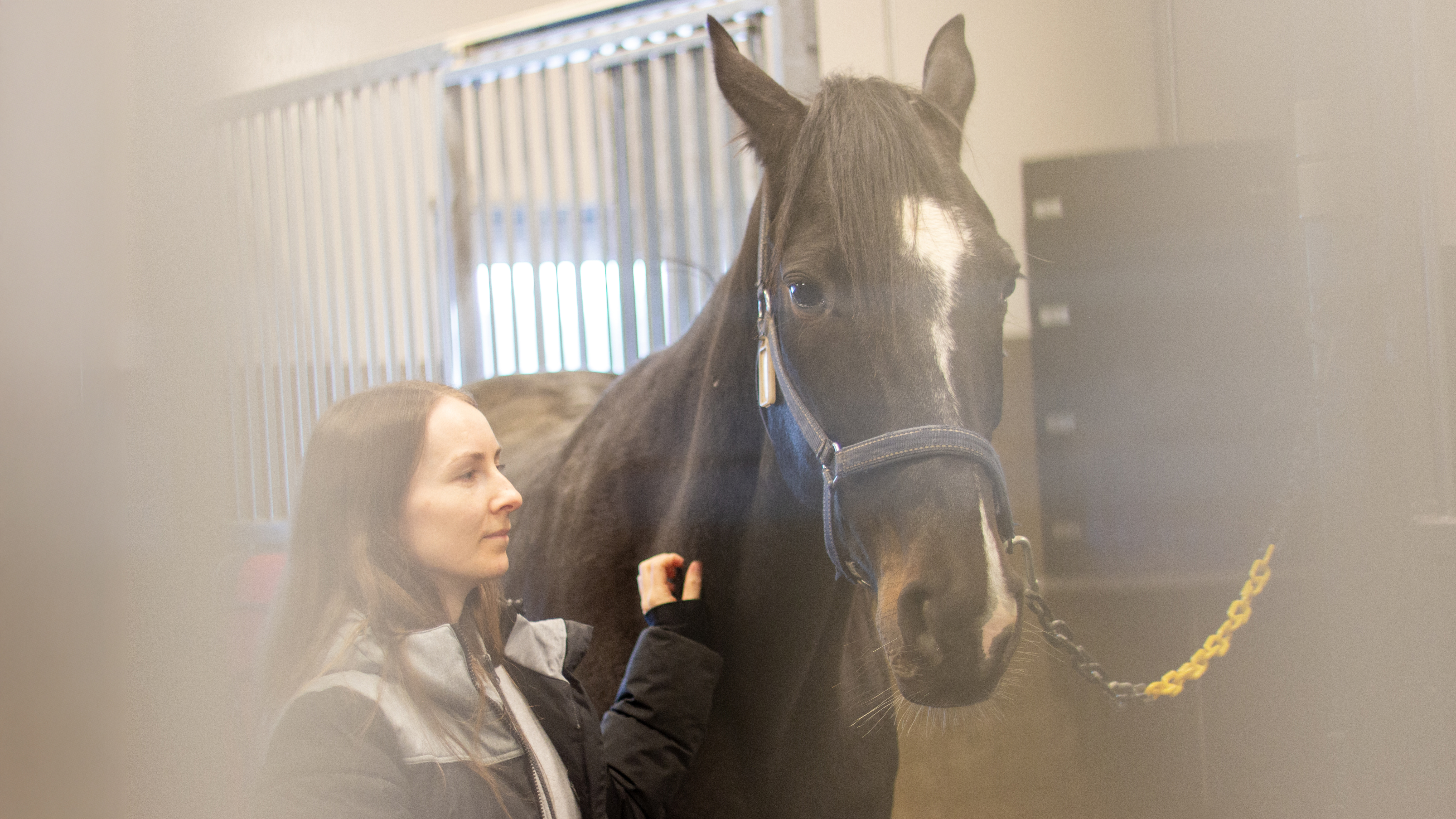 Foto av en kvinna (Lisa Johansson, SLU) i stallet med en mörk häst.