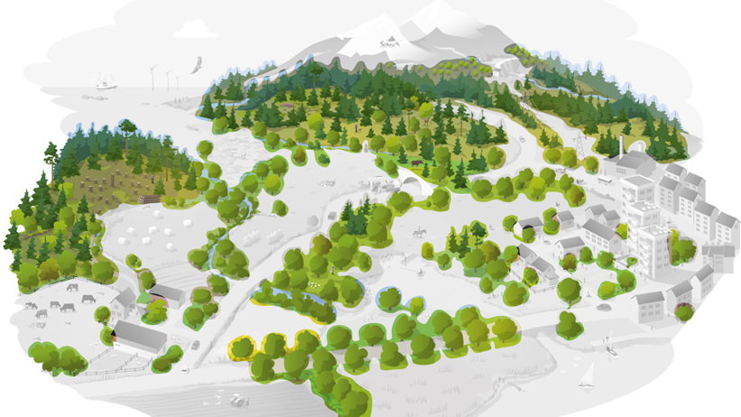 Bild: ”Nätverk skog”. Illustration Kjell Ström, Naturvårdsverket.