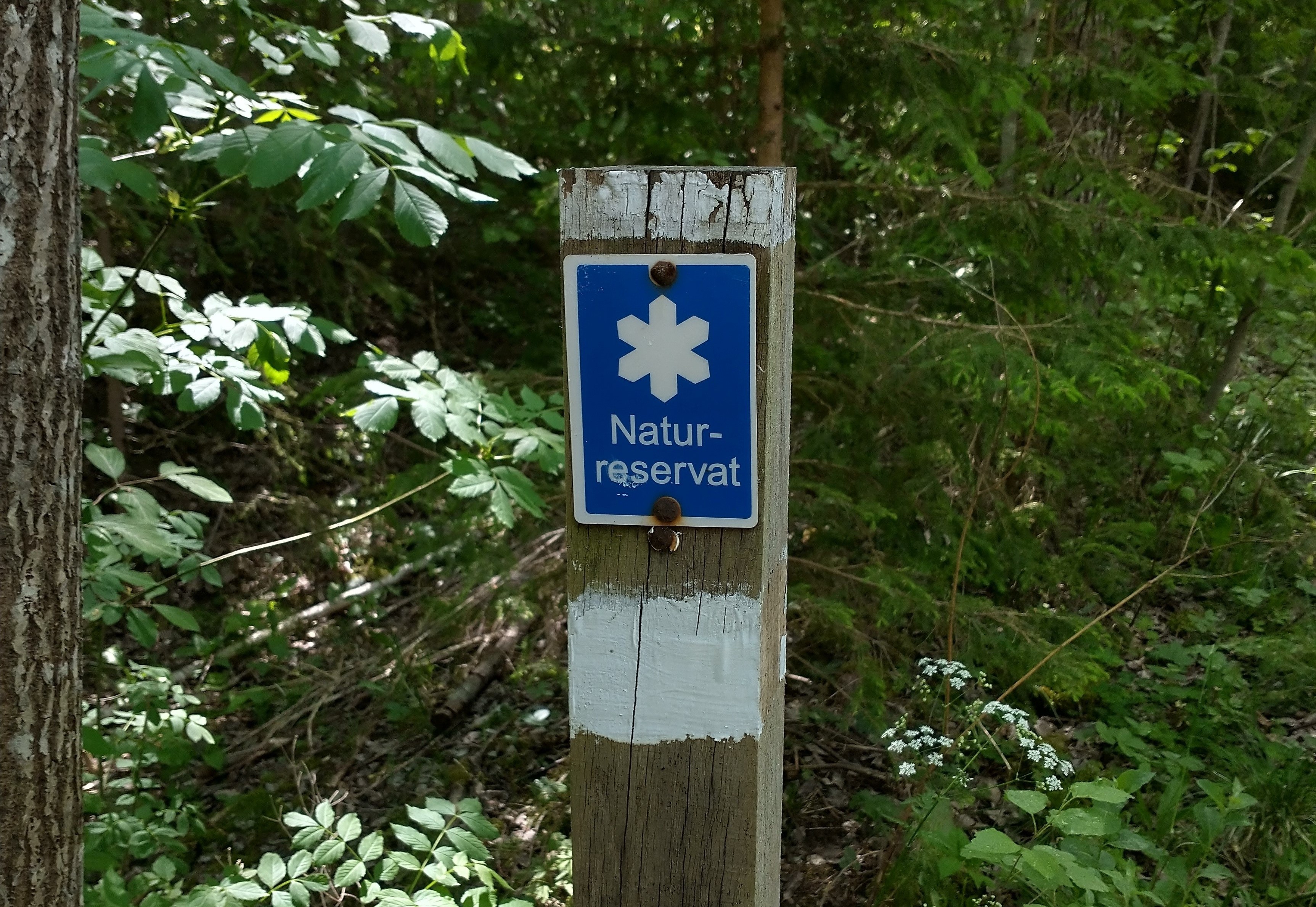 Naturreservatsskylt på stolpe med skog i bakgrund. Foto