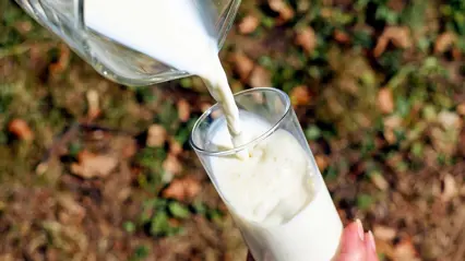 Mjölk hälls i ett glas. Foto.