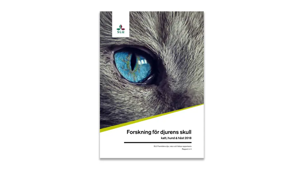 Report cover. Image.