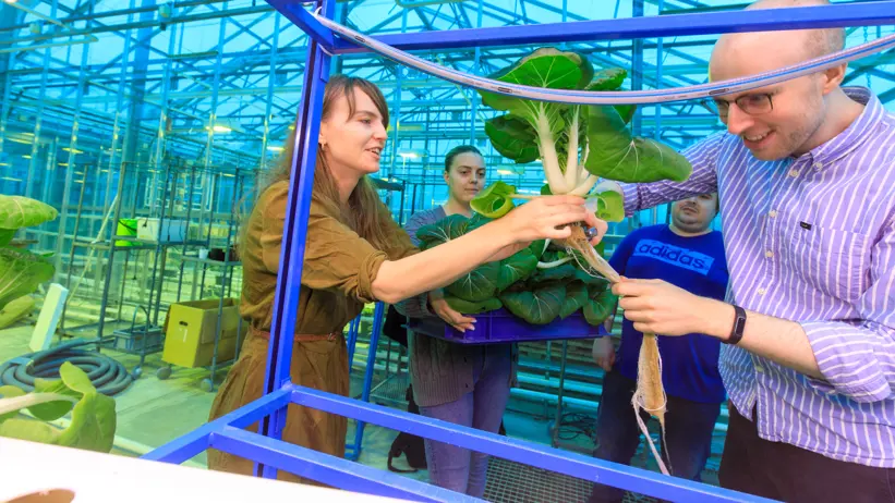 Tre glada studenter med en planta i ett växthus. Foto.