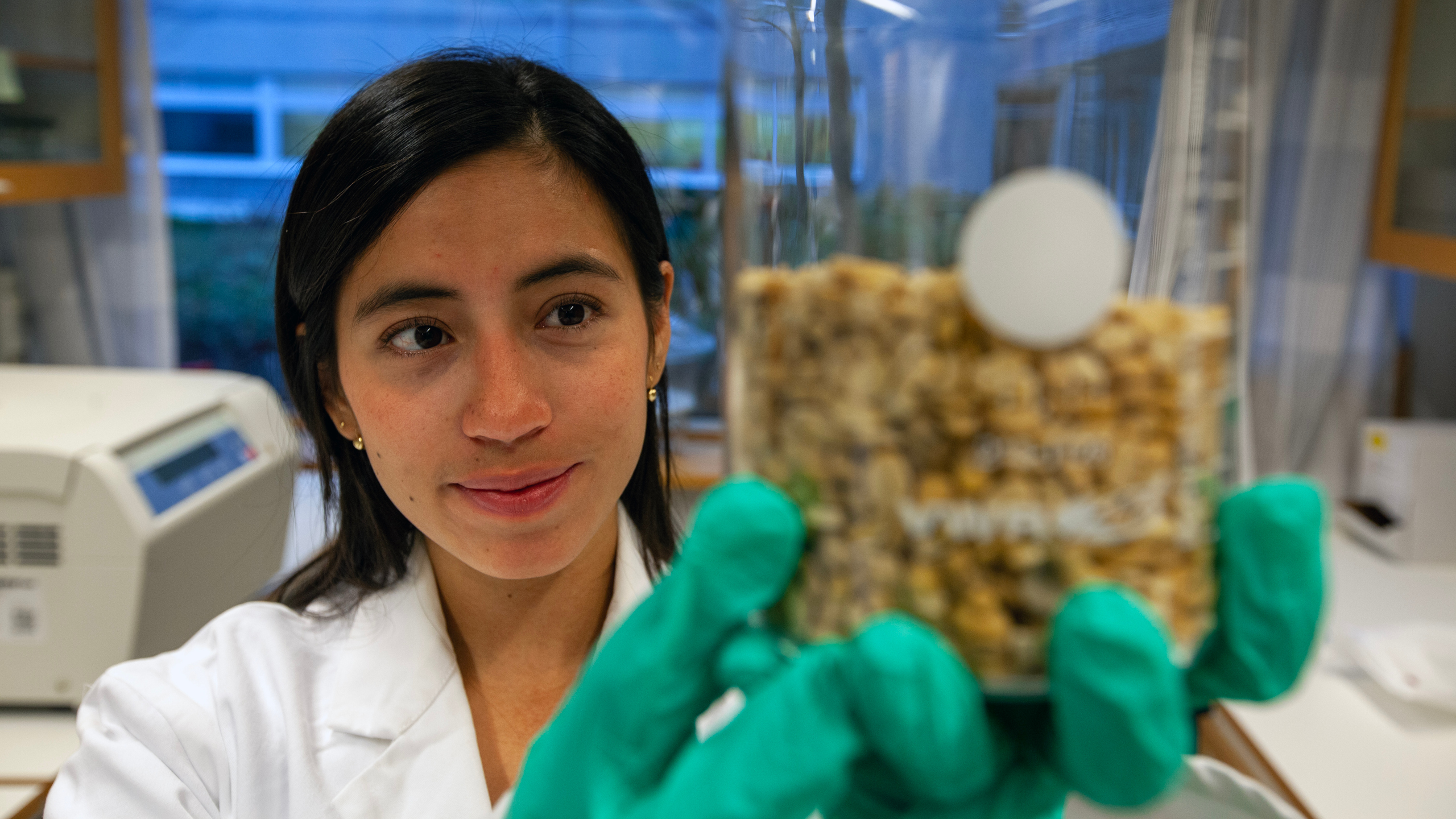 En ung kvinnlig forskare håller upp en glasburk med favabönor. Foto.