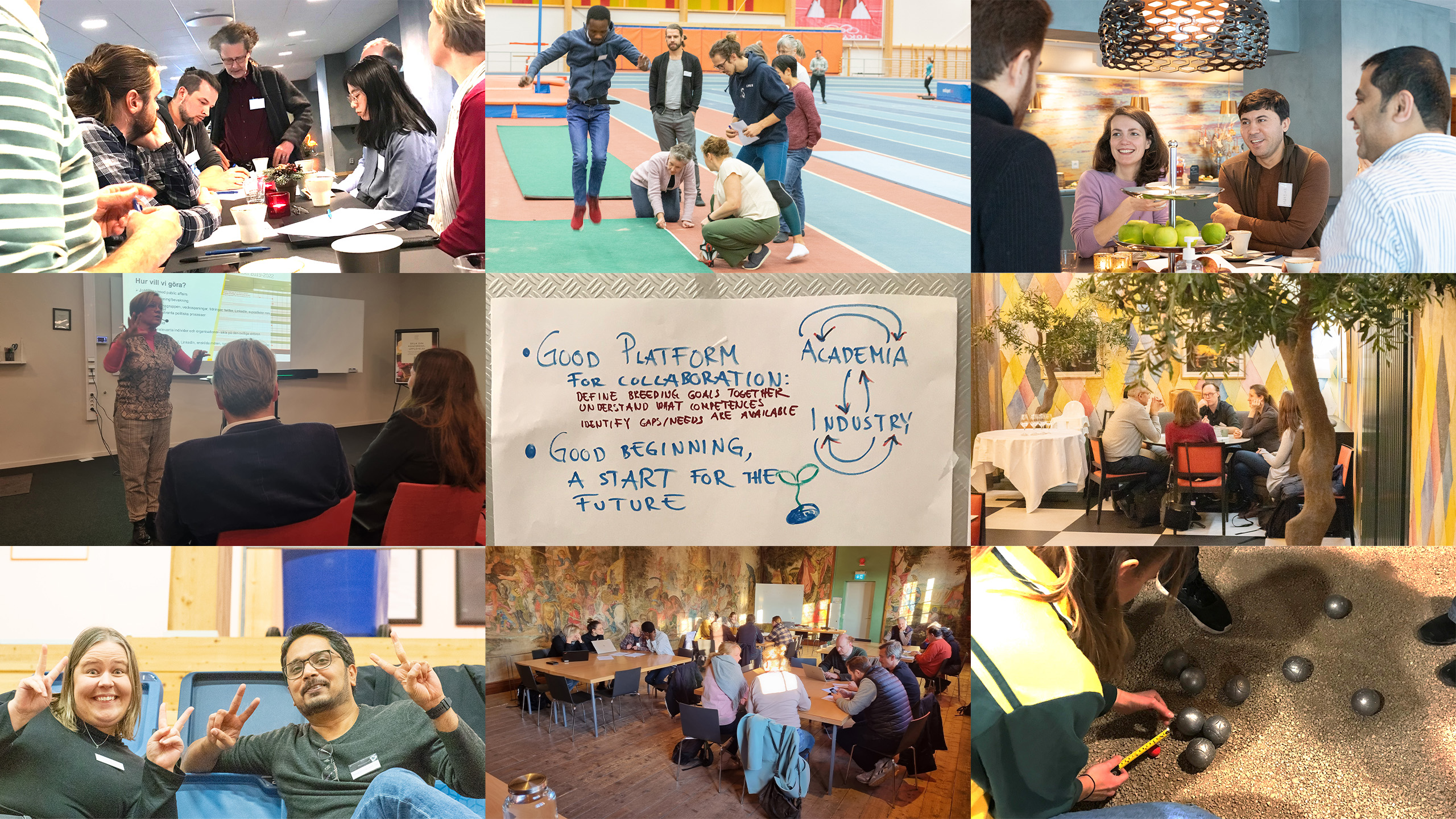 Collage of nine photos of people interacting at workshops.