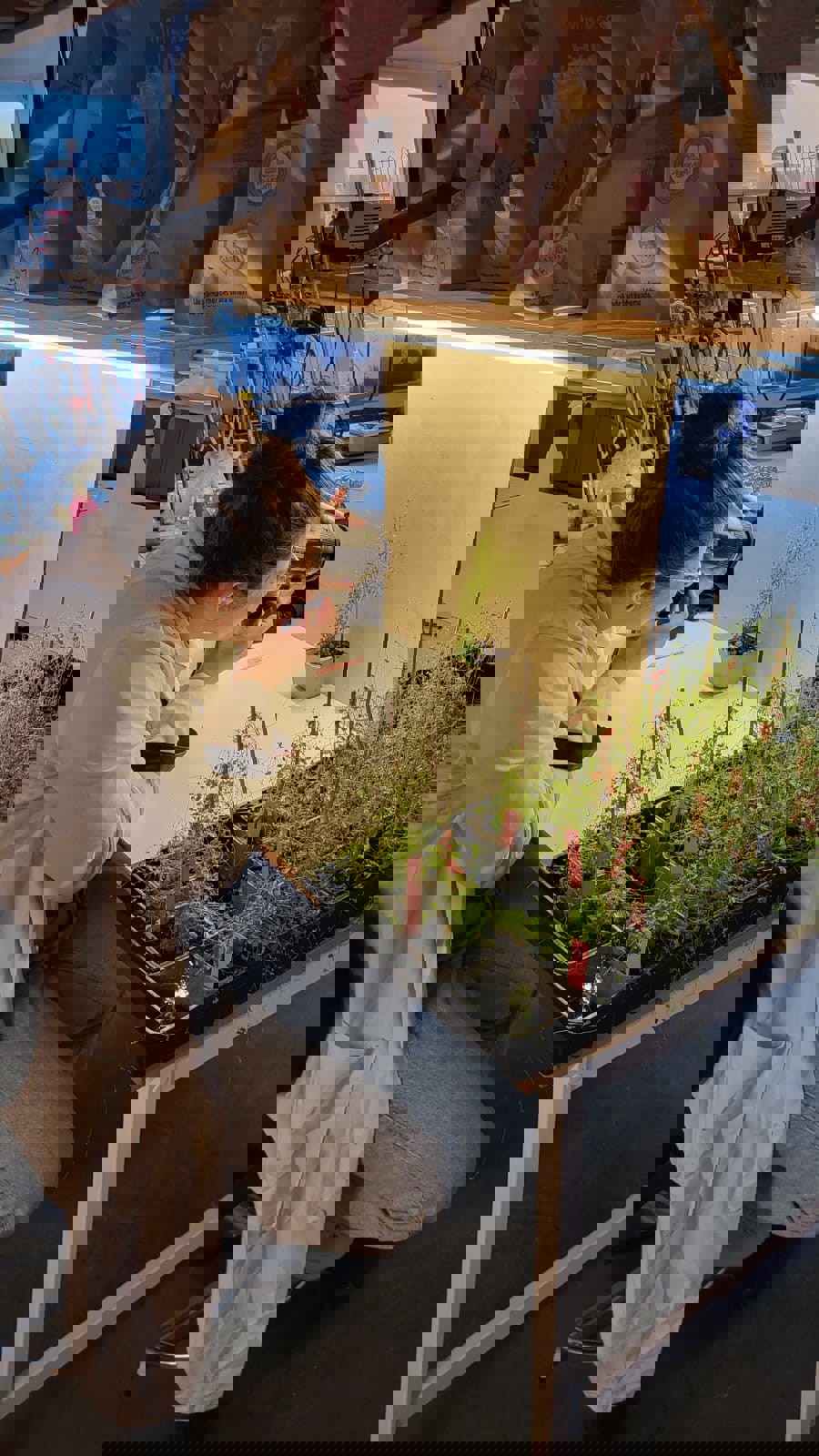 Porträttfoto av Alessandra Lombardi