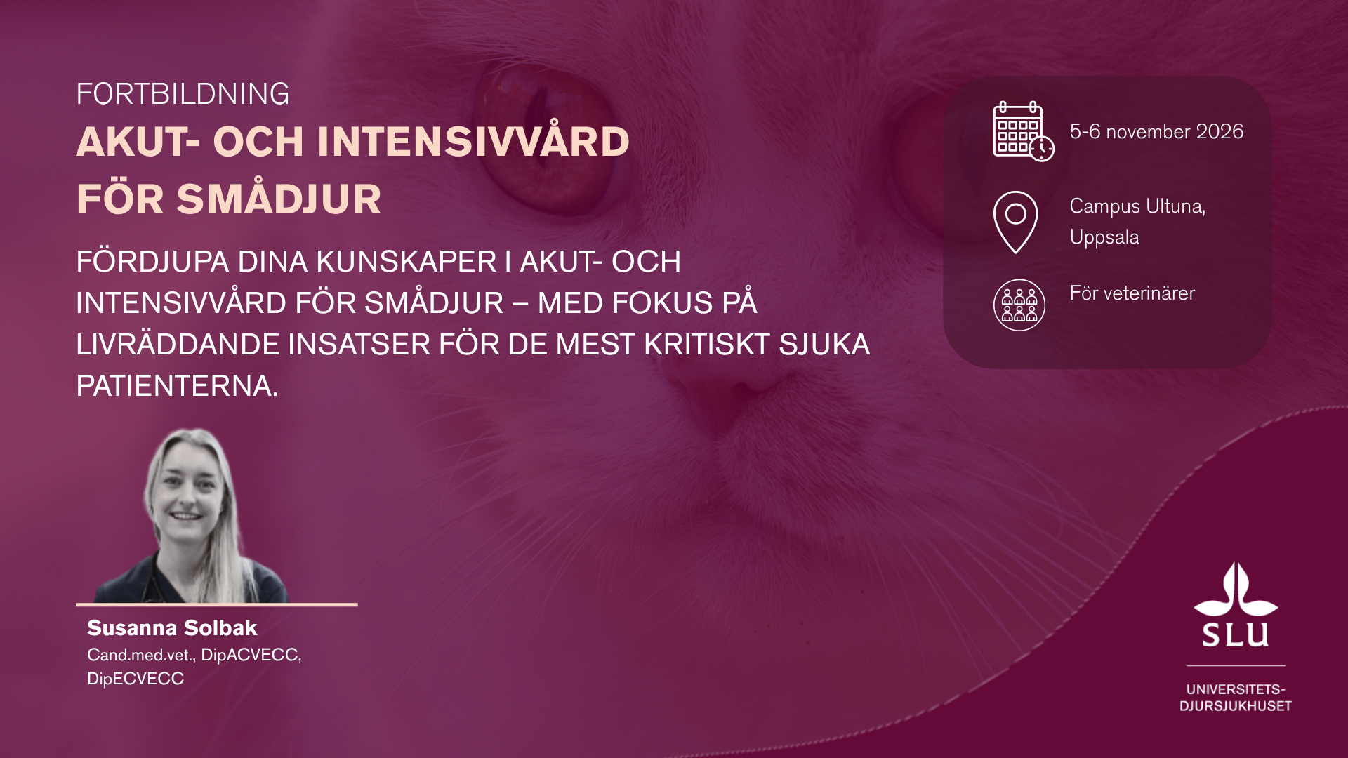 Banner för IVA kurs