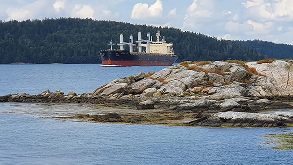Fraktfartyg passerar kala klippor
