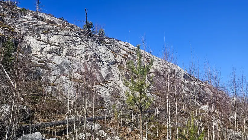 Bergig skogsmiljö med exponerad hällmark, stora stenblock och gles vegetation. Små träd och buskar växer på sluttningen, och ovanför syns en klar blå himmel. Foto.