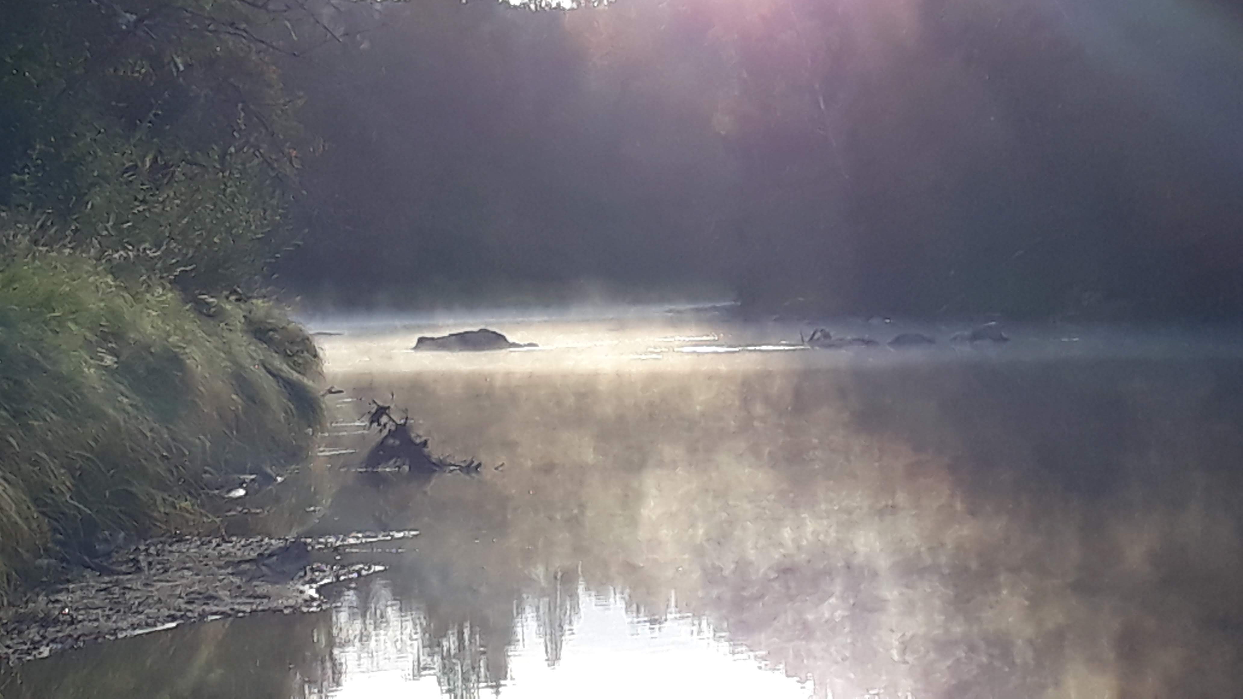 Water by river with fog
