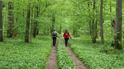 två studenter går i skogen