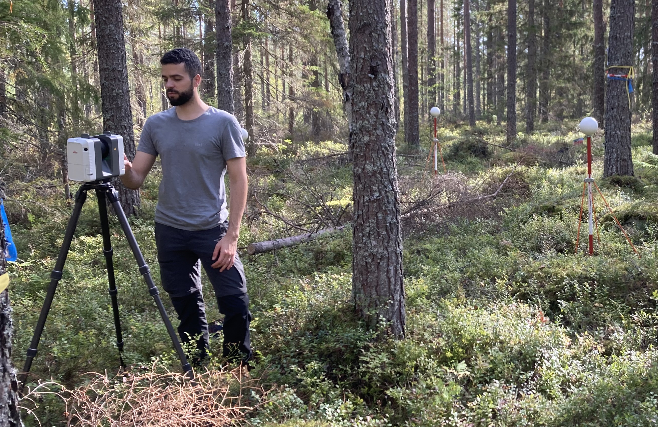man and a tool in the forest