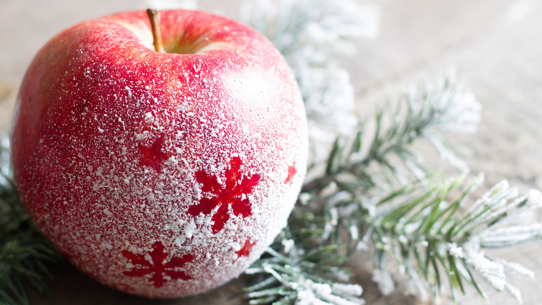 Frostat rött äpple och grankvistar. Foto.