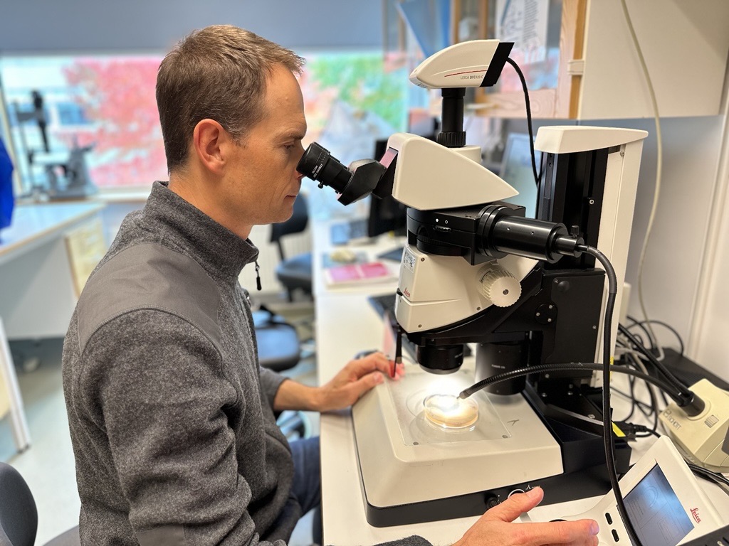 På SLU:s Biocentrum i Uppsala forskar Audrius Menkis på almsjukan. Bild: Daniel Stjärna/SLU.