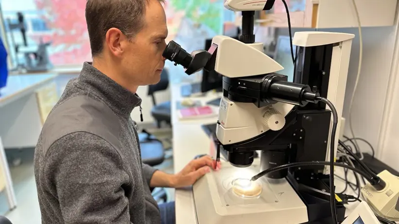 På SLU:s Biocentrum i Uppsala forskar Audrius Menkis på almsjukan. Bild: Daniel Stjärna/SLU.