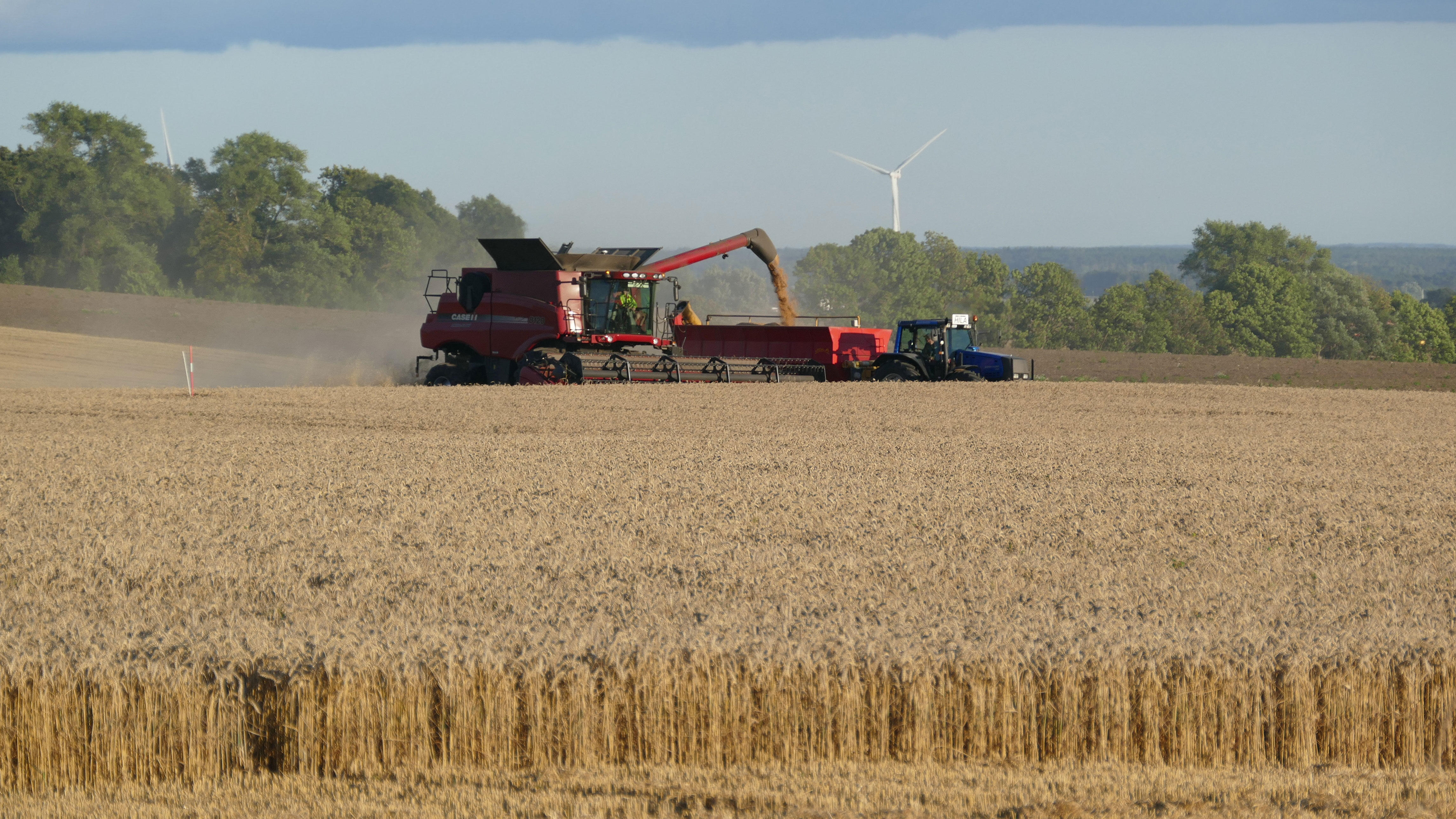 Röd tröska på spannmålsfält