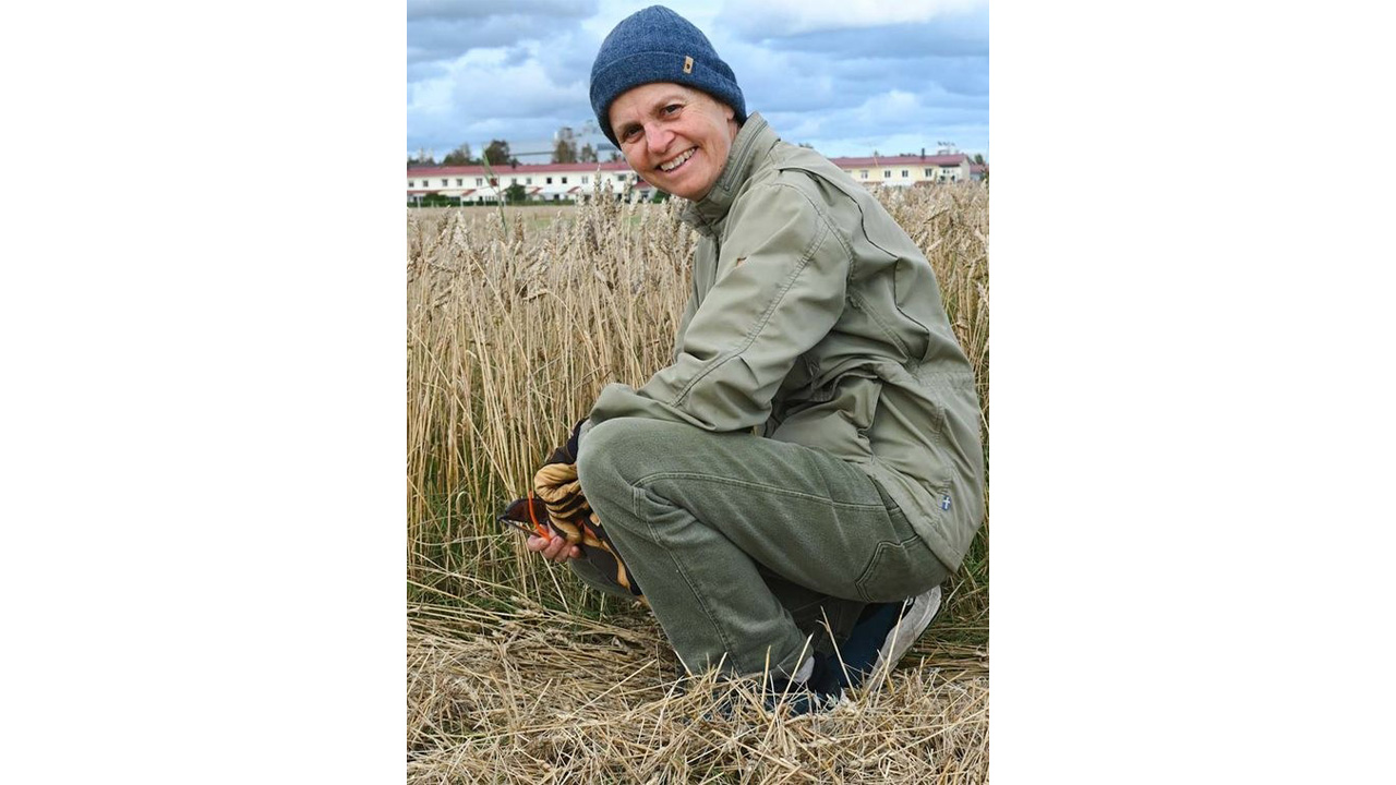 Cecilia Palmborg stands leaning on one knee in front of a field of cereal. In the background is a row of white houses.