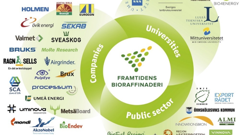 Figur 1: Sammansättning av aktörerna kring bioraffinaderi-klustret