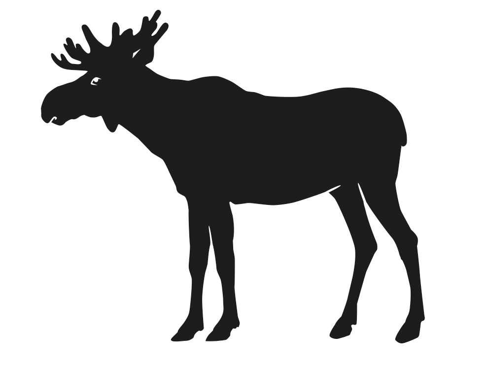 Svart siluett av älg med stor krona.