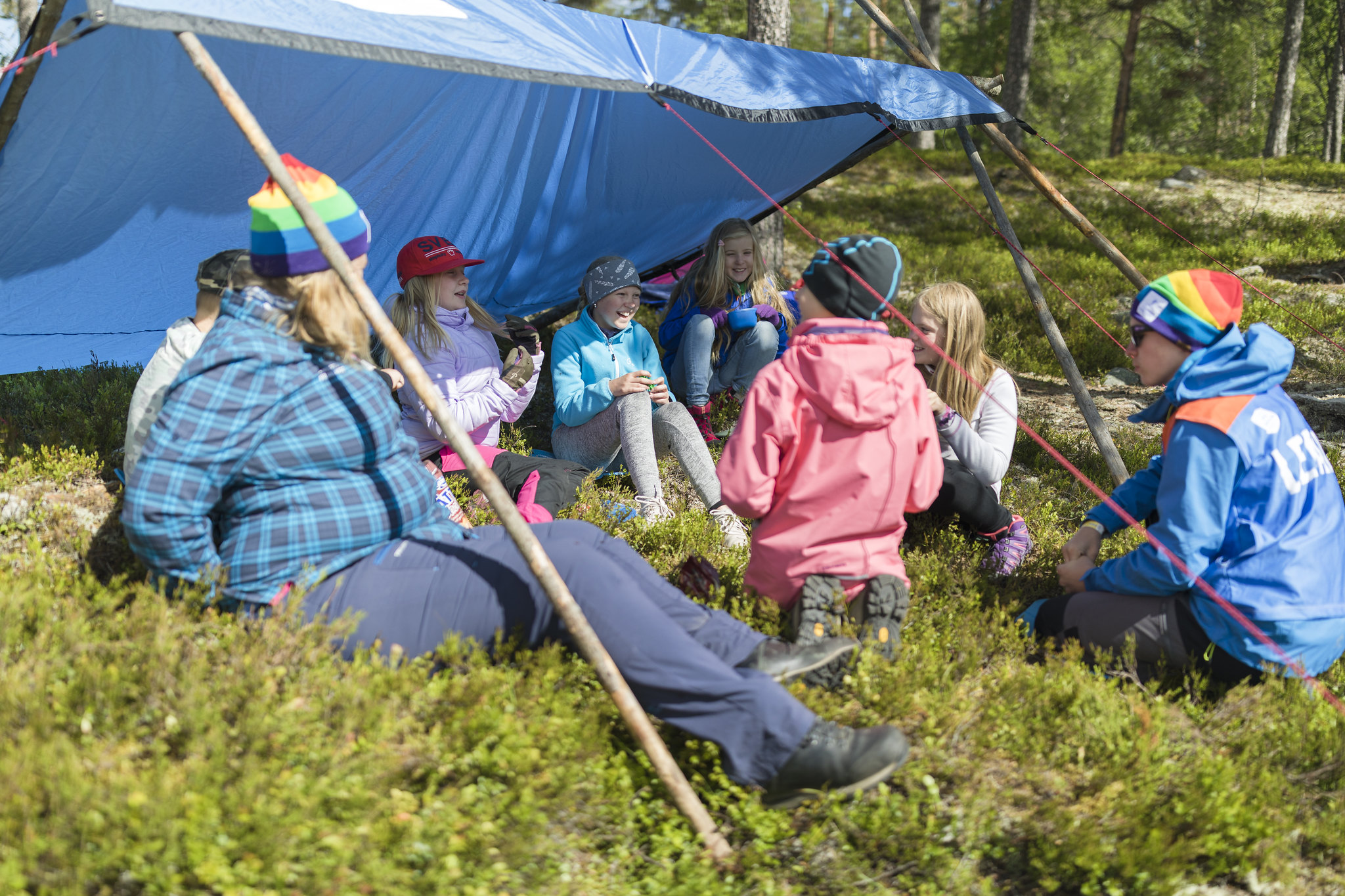 Barn under vindskydd