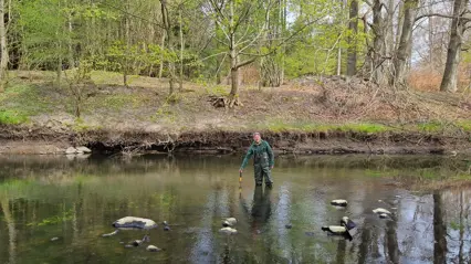 Person sampling in av stream
