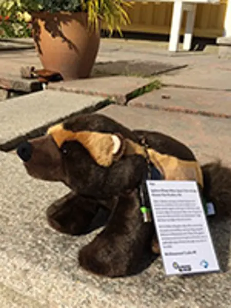 Ett mjukisdjur, en järv, är placerad på marken. Den har en lapp med information om klimat på sig.