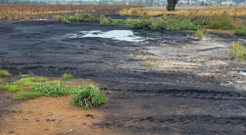 Oil-contaminated ground in a rural landscape.