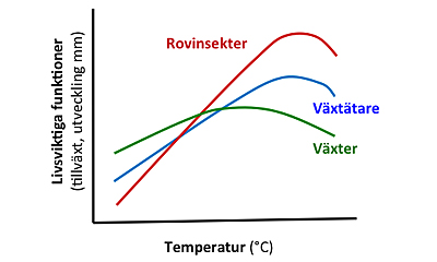 diagram över insekters och växters reaktion på ökad temperatur