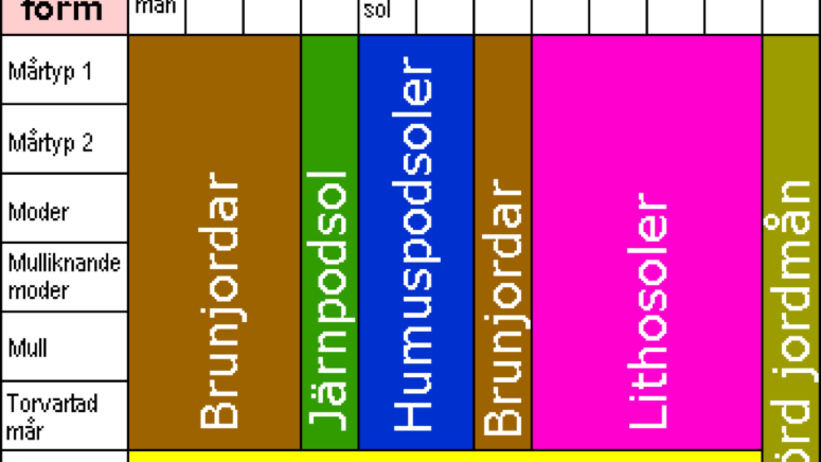 Schema över jordmånsklasser i svenska systemet