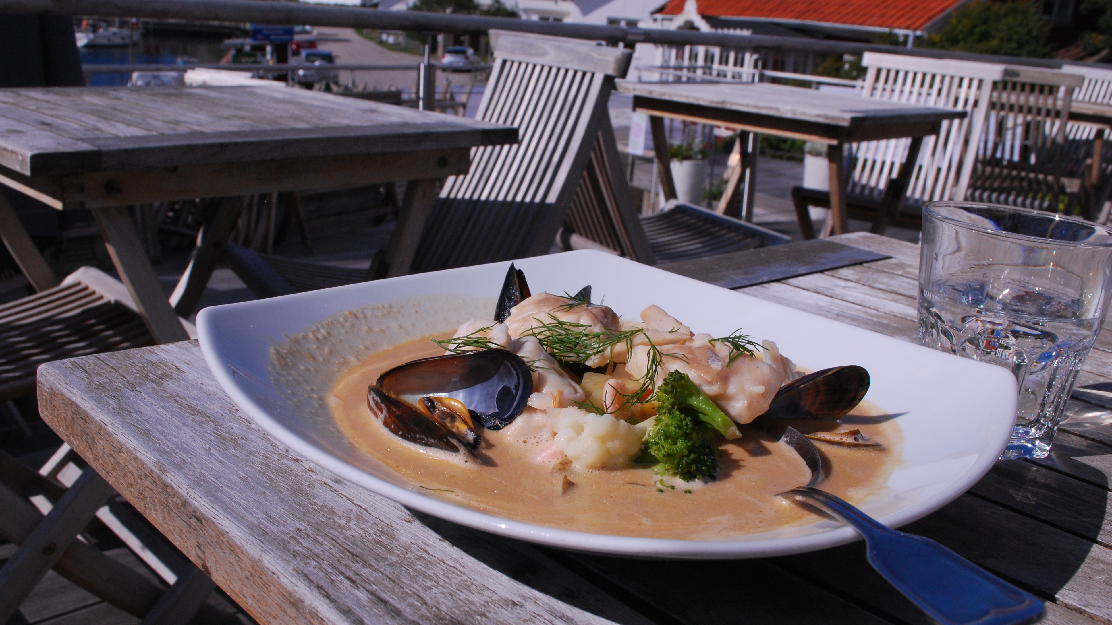 A summery plate of salmon with side dishes on a sunny patio.