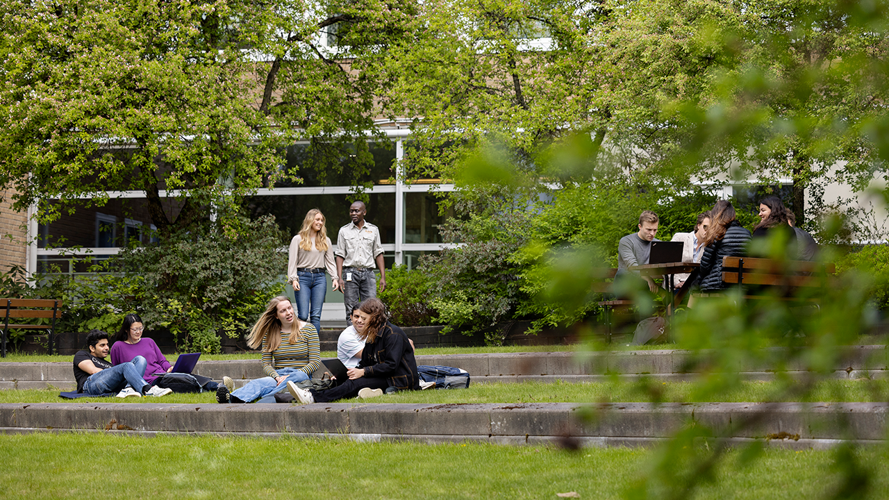 Students at the Faculty of Forest Sciences at SLU in different environments inside and outside the SLU building on the Umeå campus.