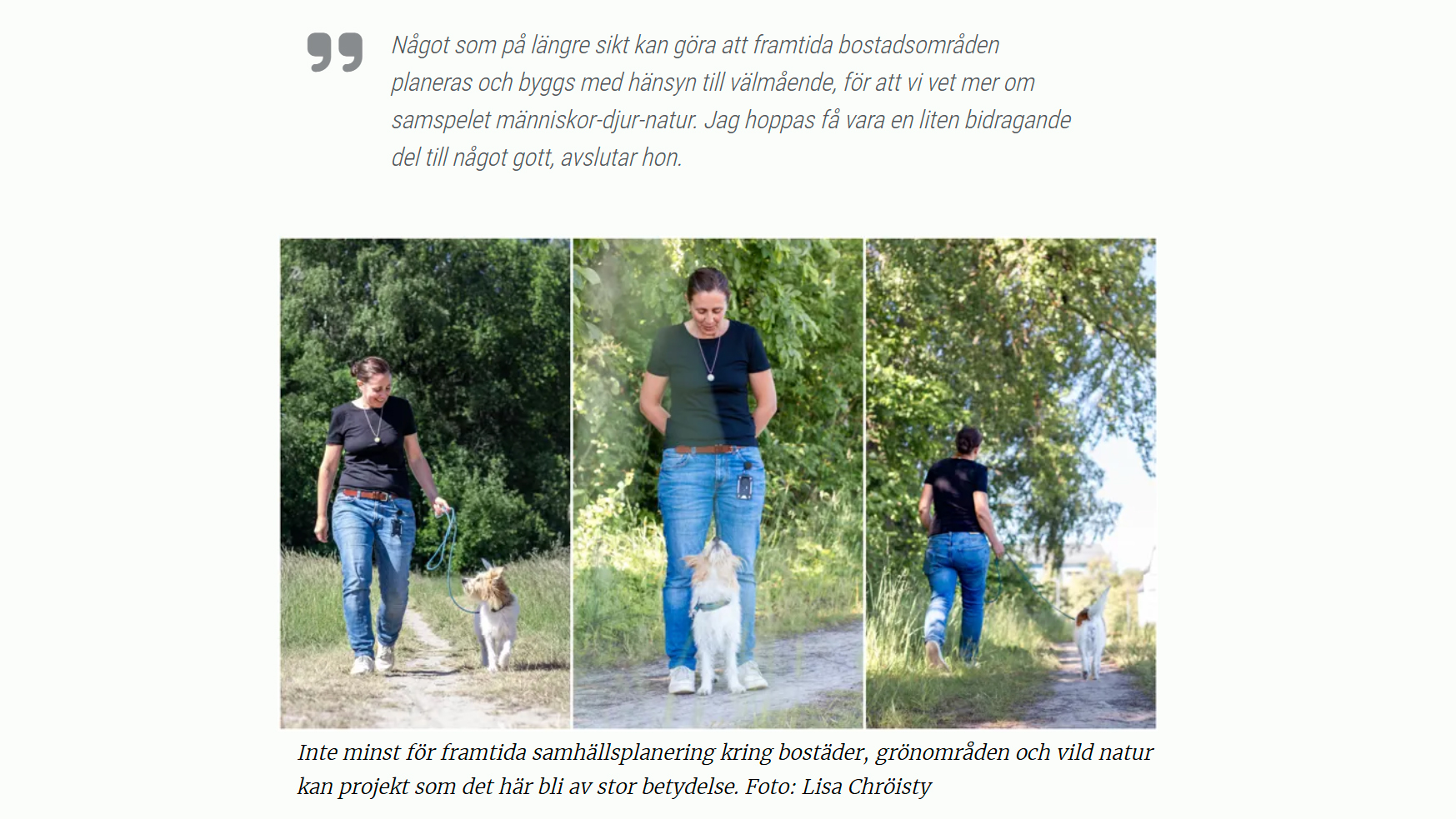 Skärmbild från en intervju på webben för Sveriges lantbruksuniversitet.