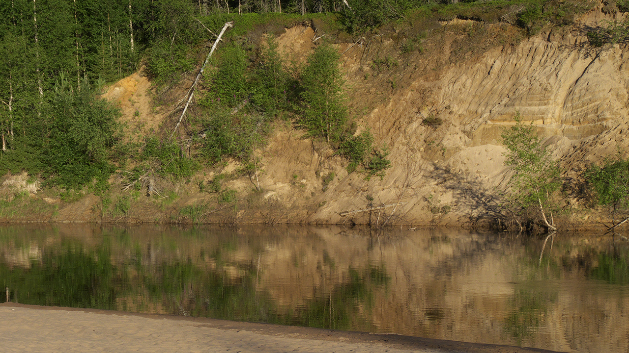 Strand, vatten klippor och skog. Foto