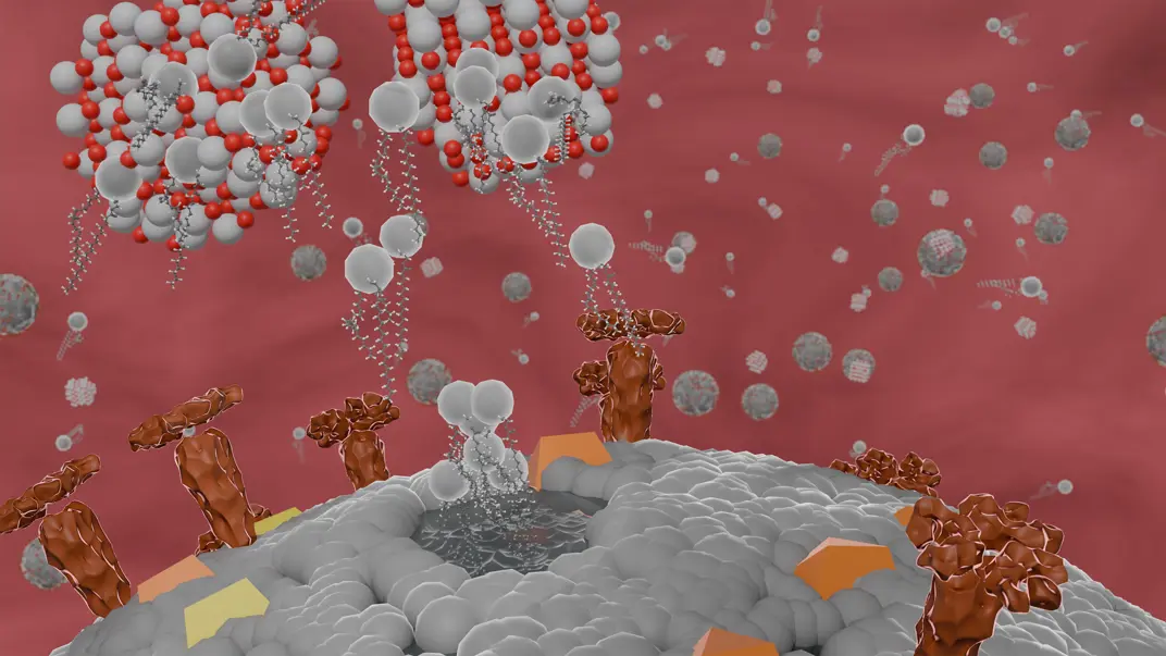 Kessler antiviral