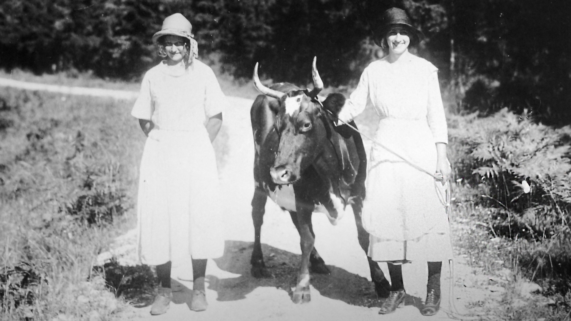 Två kvinnor och en liten ko med stora horn. Svartvitt foto.