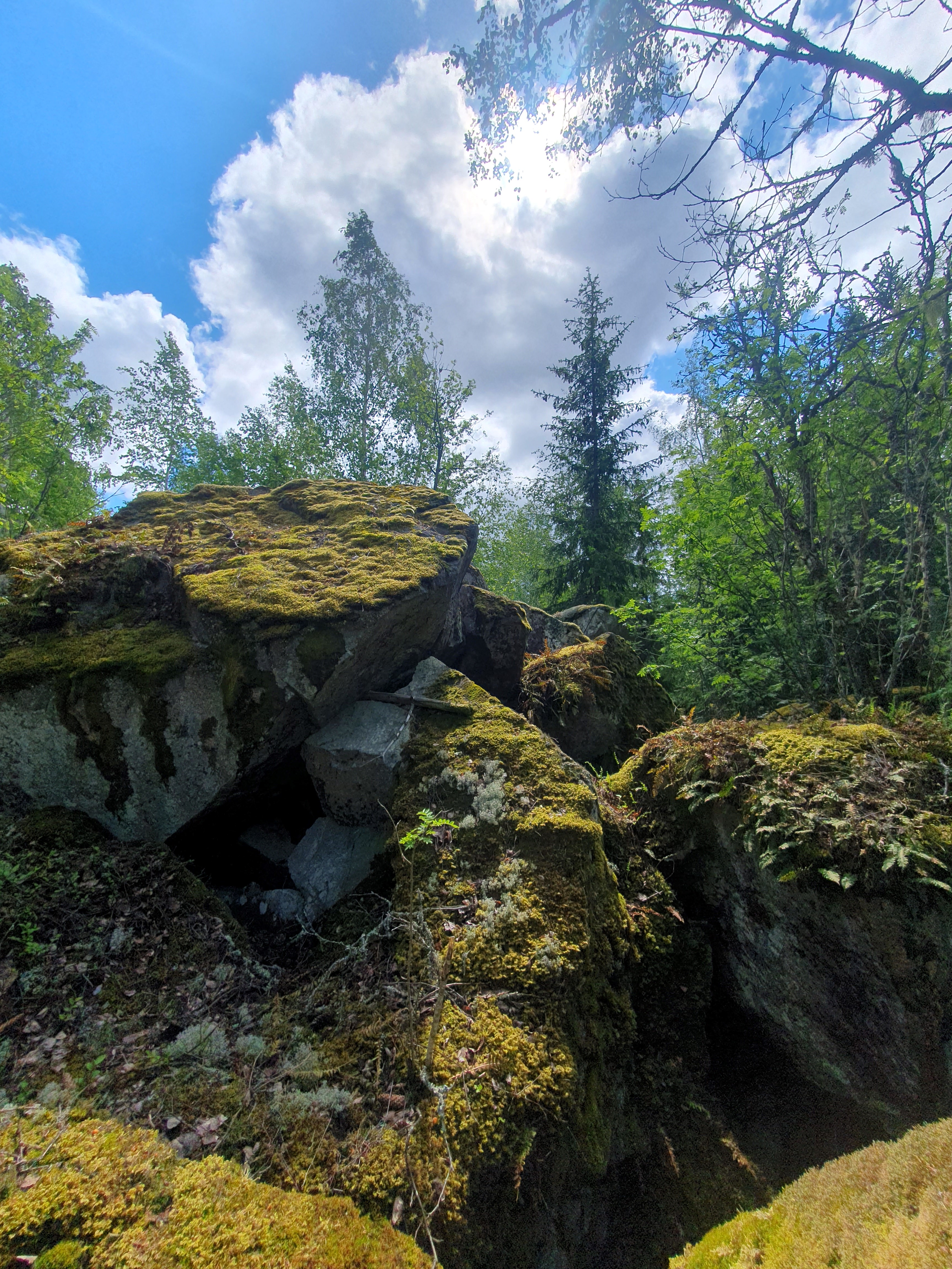 Stora klippblock som det växer mossa på. Träd och blå himmel i bakgrunden. Foto.