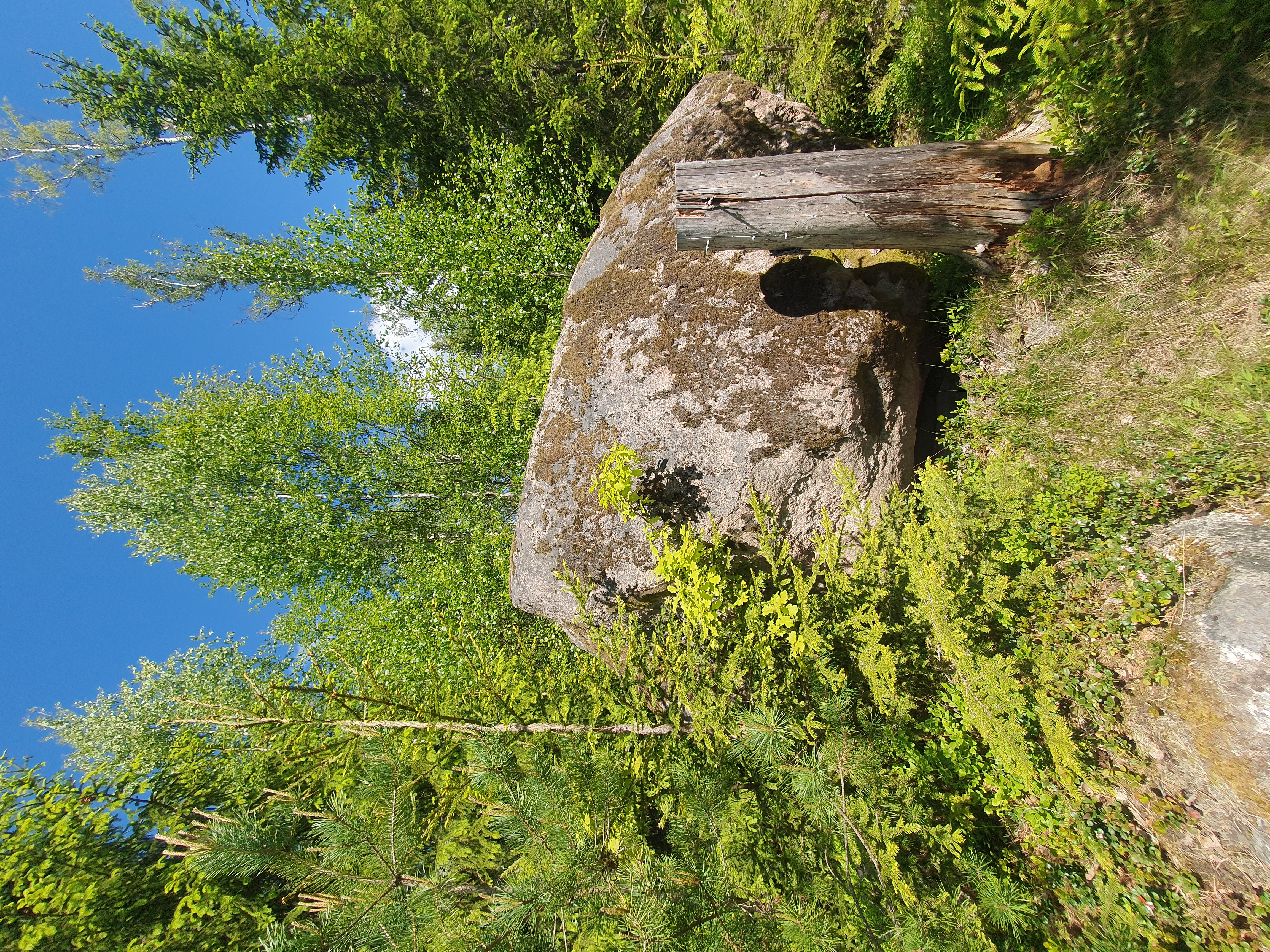 Ett stort stenblock med löv- och barrskog runtomkring. Blå himmel. Foto.
