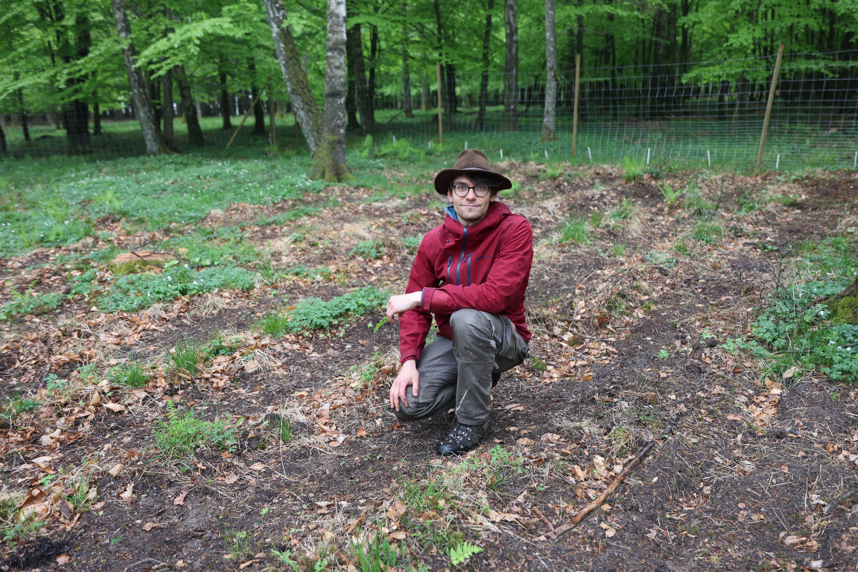 man sitting in an experimental forest