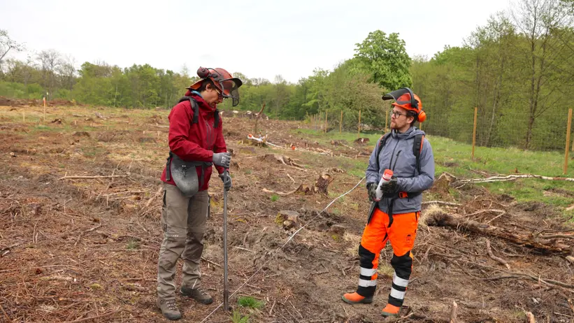 Two men in an experimental forest