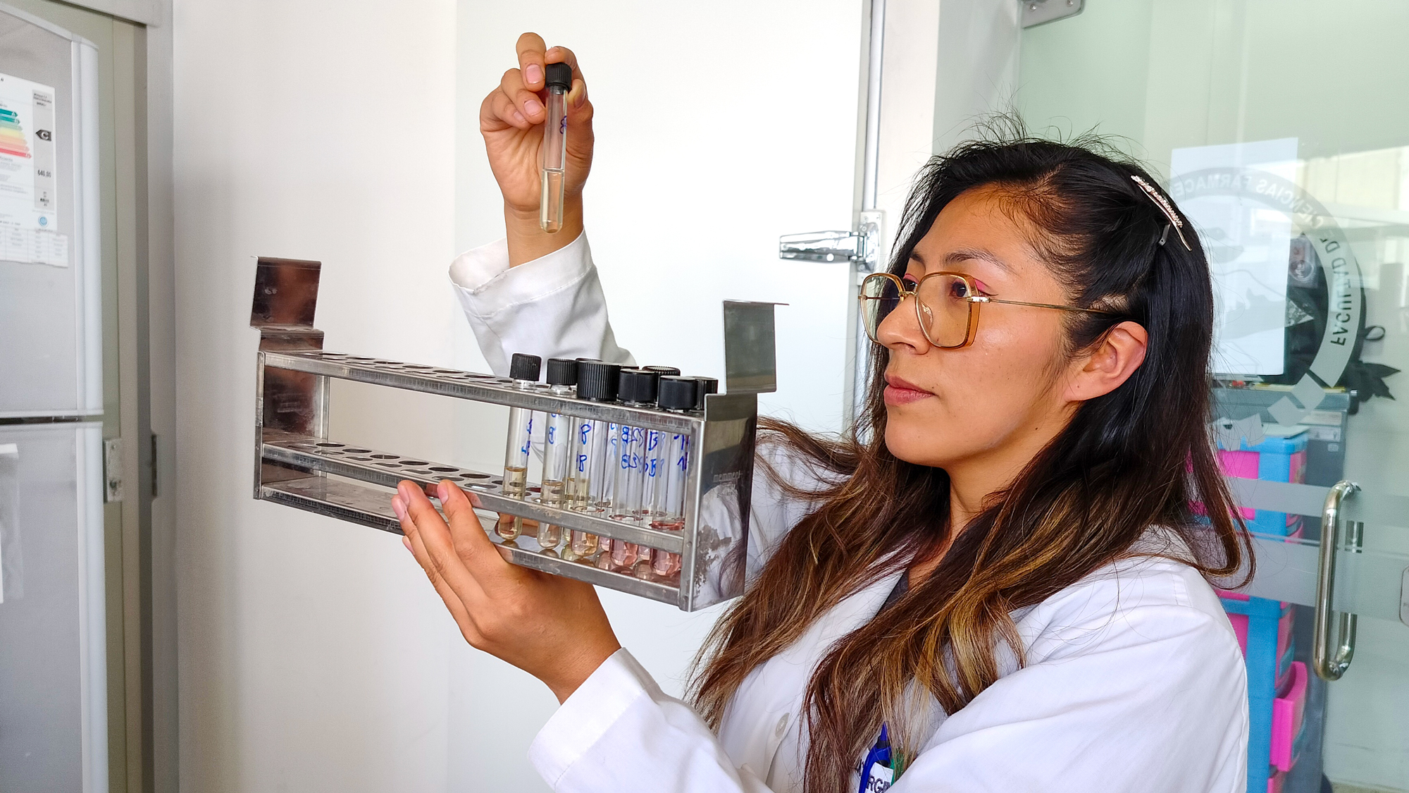 A woman holds up a test tube in a laboratory. Photo.