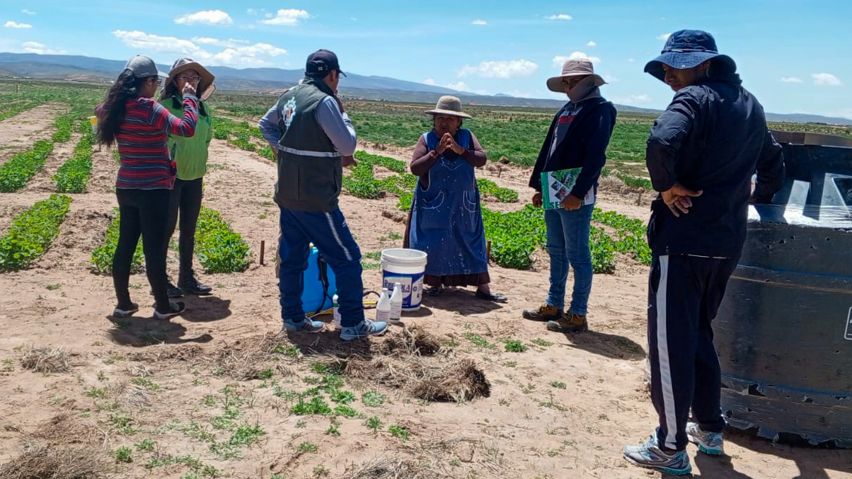 Six people standing in an agricultural field with mountains in the background. Photo.