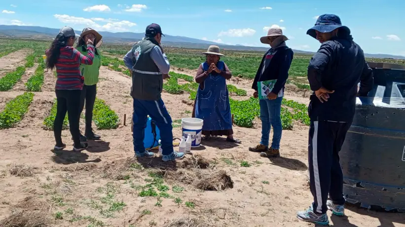 Six people standing in an agricultural field with mountains in the background. Photo.