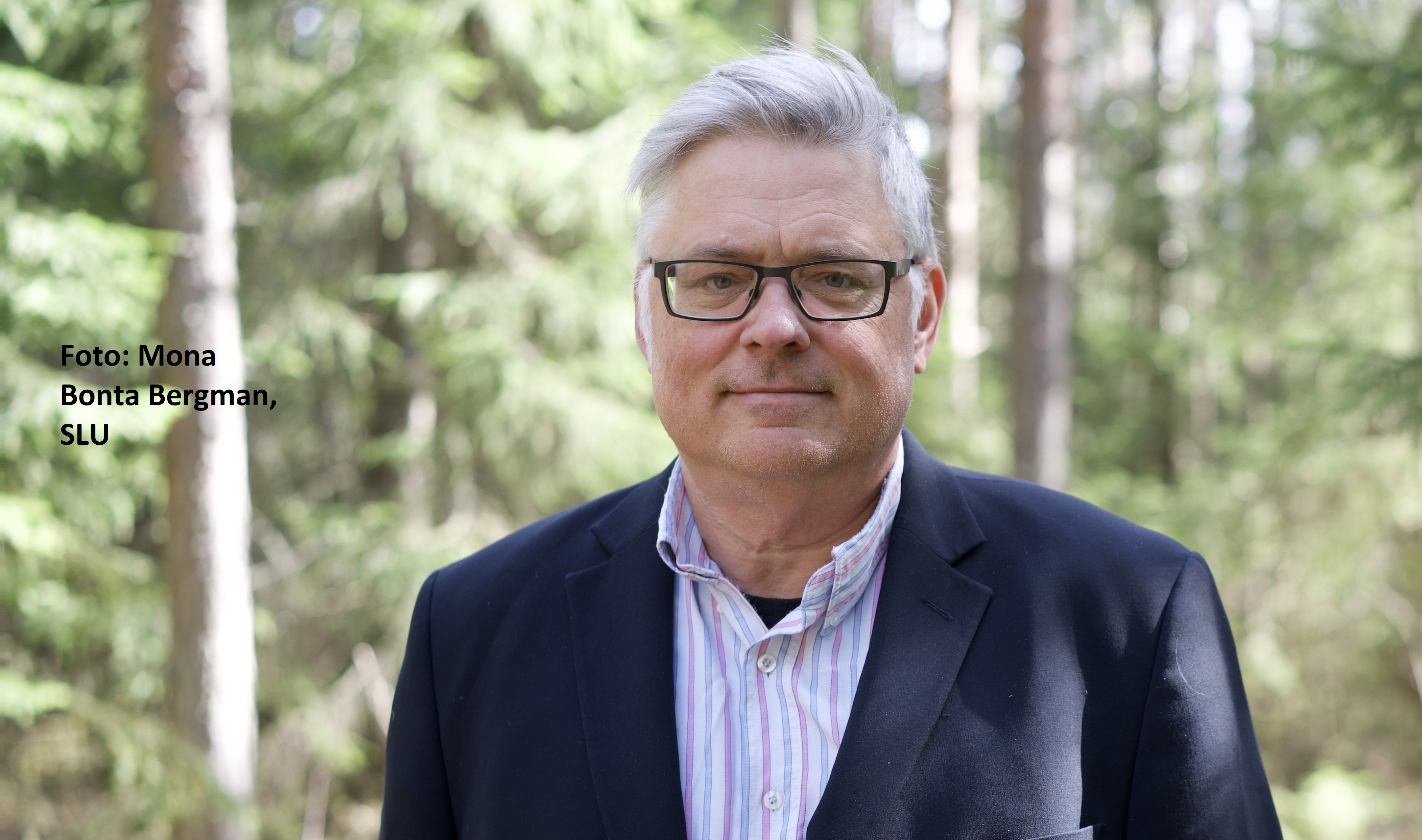 Porträttfoto av Bengt Kriström