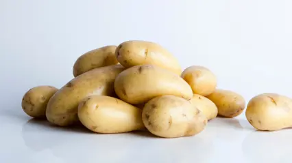 A pile of unpeeled, light-yellow potatoes rests against a white background. The potatoes are clean with smooth skin and a few blemishes, photographed in soft light that highlights their shape and texture.