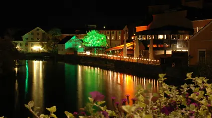 Night view over the Fyris River in central Uppsala. Colorful lights reflect in the calm water from building façades, an illuminated tree, and outdoor seating along the waterfront. Flowers in purple and green are visible in the foreground.